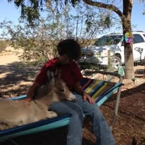 Young Zippity relaxing in a hammock with Annie